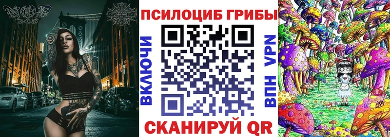 Псилоцибиновые грибы мухоморы  Купить закладки  Тайга 